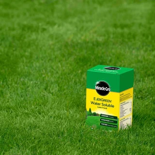 Miracle-Gro Water Soluble Lawn Food 1kg - Image 2