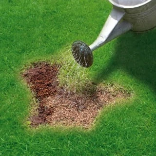 Miracle-Gro Patch Magic Grass Seed, Feed & Coir 1.1kg - Image 4
