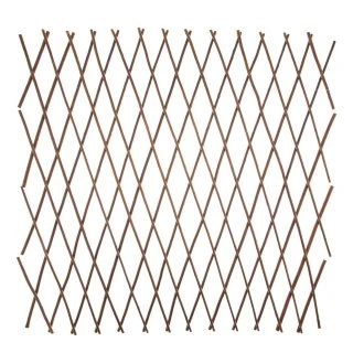 Expanding Willow Trellis