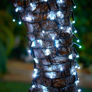 Eveready Solar Powered LED String Lights 240pk - Cool White - Image 2