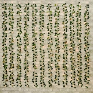 Solar Powered Artificial Ivy Leaf Curtain 180 X 180cm