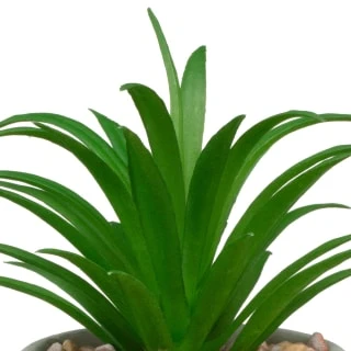 B&M Assorted Small Concrete Succulents - Image 7