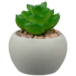 B&M Assorted Small Concrete Succulents - Image 2