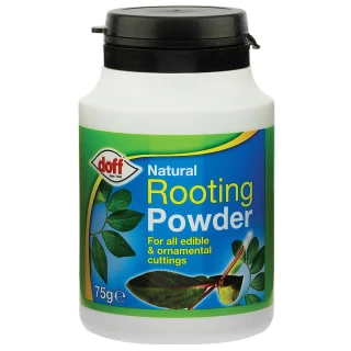 Doff Natural Rooting Powder 75g