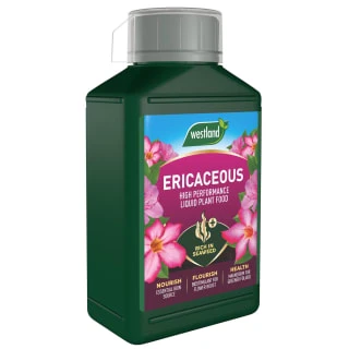 Westland Specialist Ericaceous Plant Food 1L - Image 2