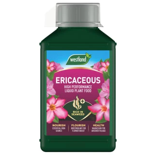 Westland Specialist Ericaceous Plant Food 1L